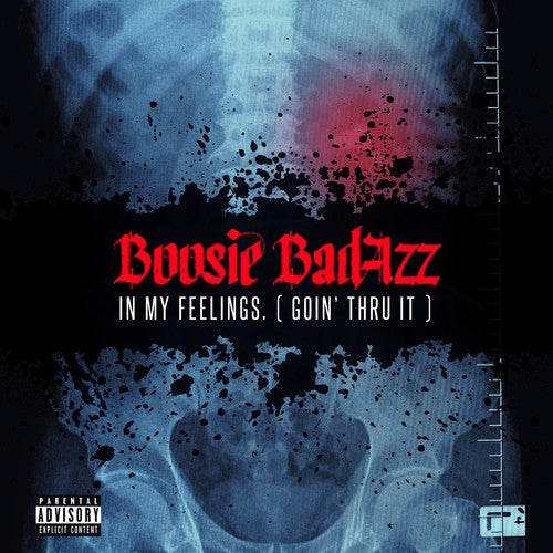 the album cover for Boosie Badazz - In My Feelings (Goin' Thru It)