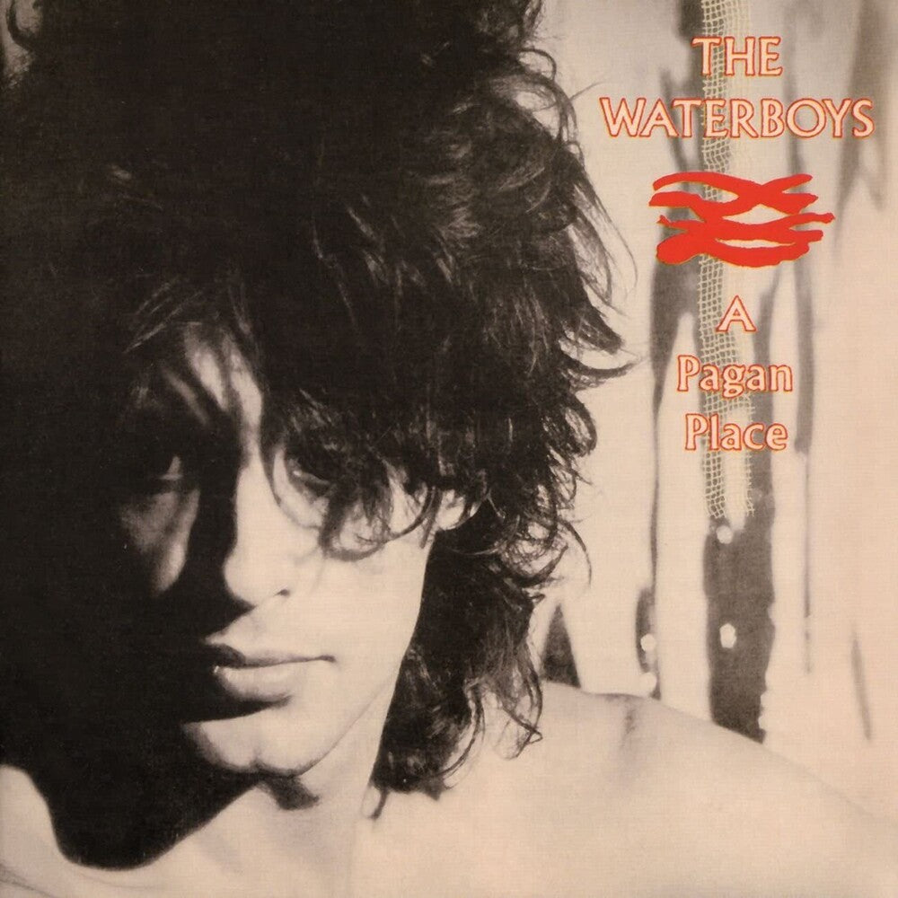 the album cover for The Waterboys - Pagan Place