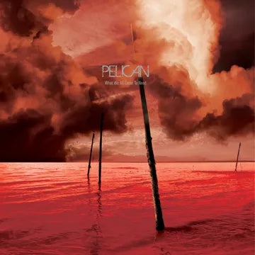 PELICAN- WHAT WE ALL COME TO NEED & EPHEMERAL (COLOR) BF25