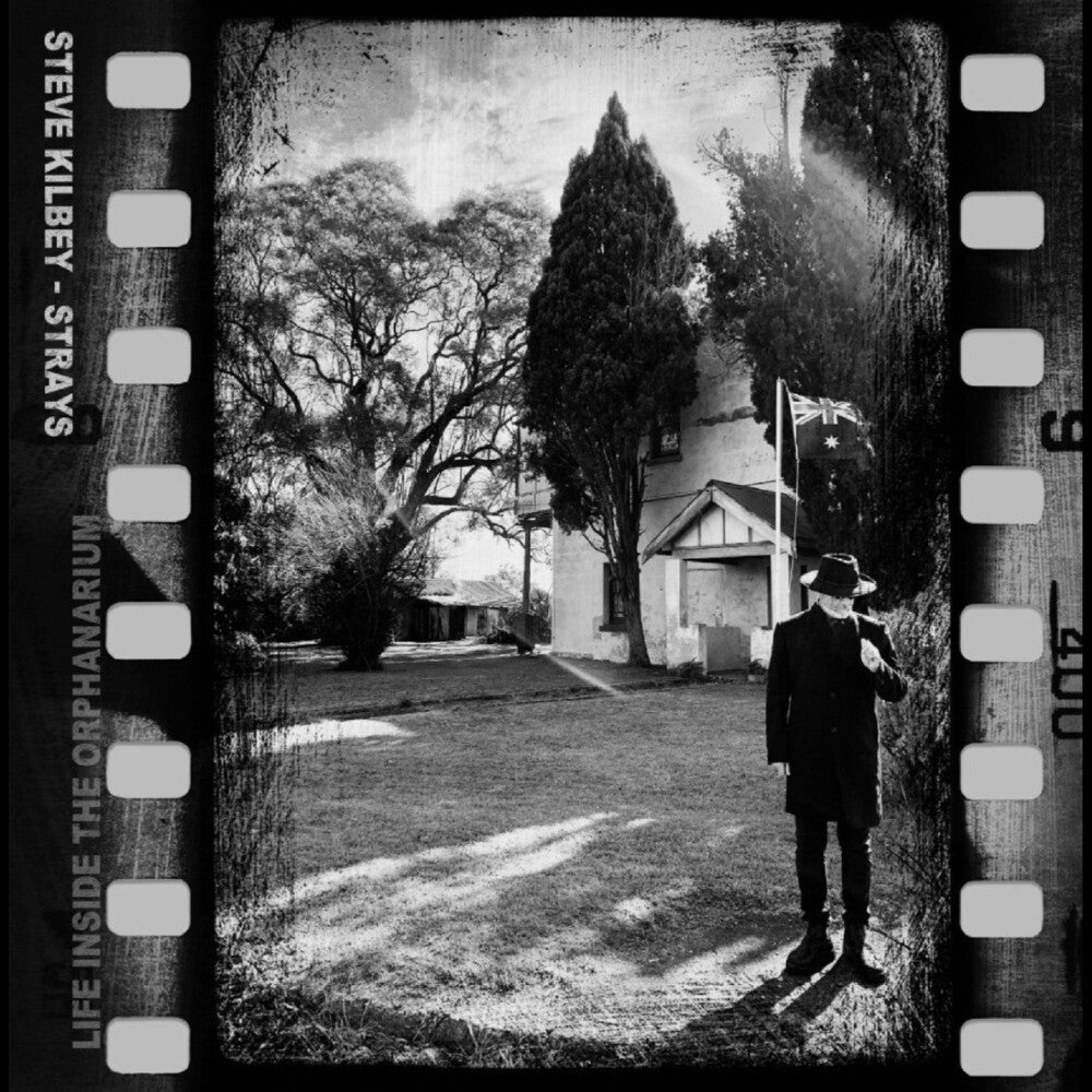 the album cover for Steve Kilbey - Strays (Life Inside The Orphanarium) (Aus)