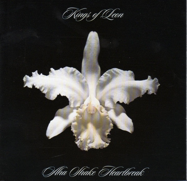KINGS OF LEON-AHA SHAKE