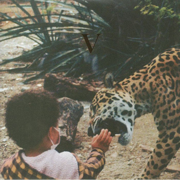 UNKNOWN MORTAL ORCHESTRA- V
