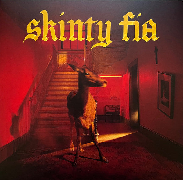 FONTAINES D.C.-SKINTY FIA