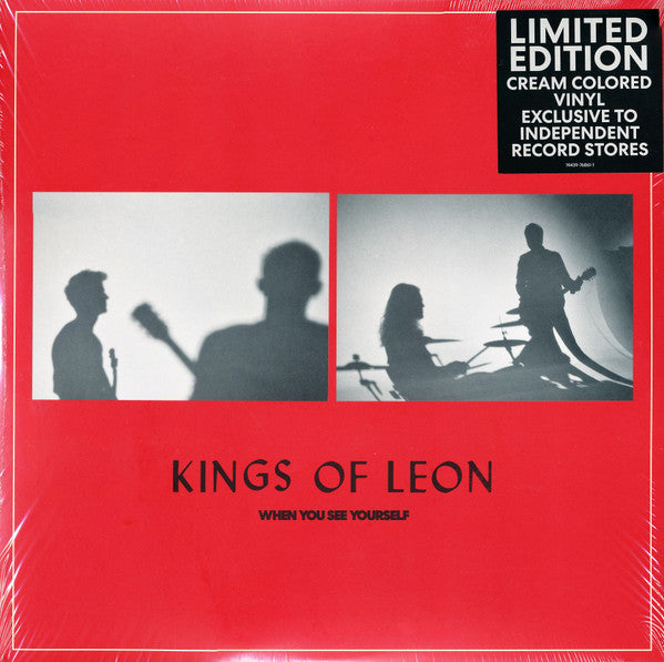 KINGS OF LEON- WHEN YOU SEE