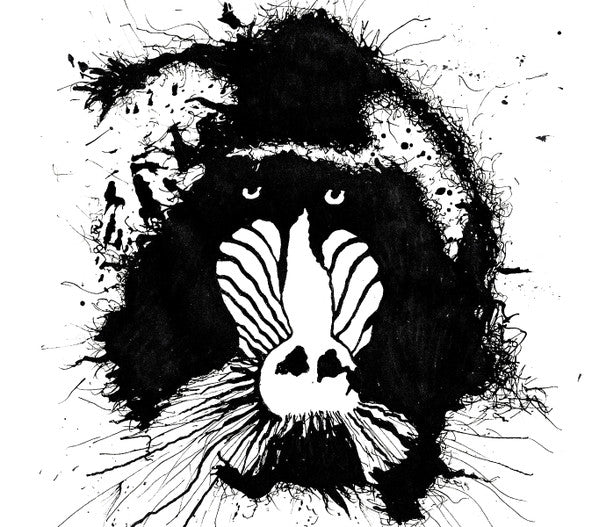 FERAL OHMS-S/T