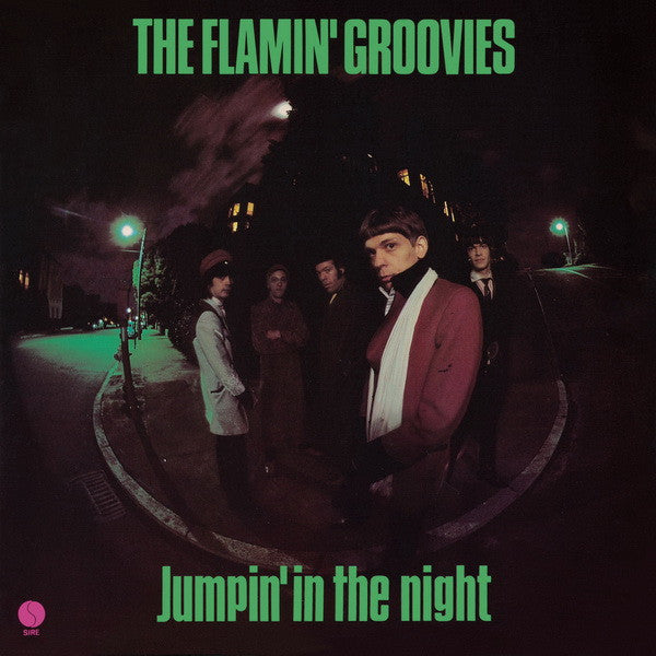FLAMIN GROOVIES-JUMPIN IN