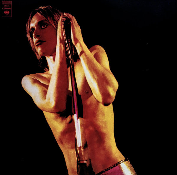 IGGY & THE STOOGES- RAW POWER (DOUBLE)