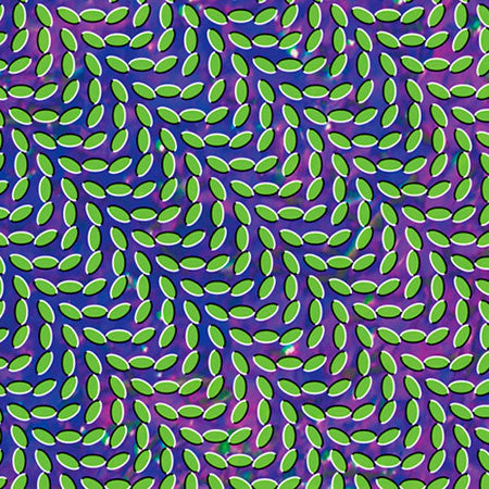ANIMAL COLLECTIVE - MERRIWEATHER POST PAVILION
