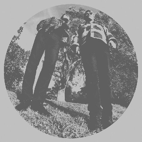 the album cover for Ty Segall - Hair [LP]