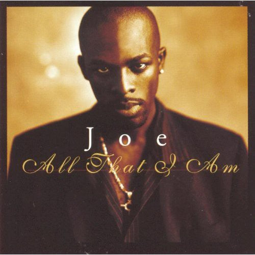 the album cover for Joe - All That I Am