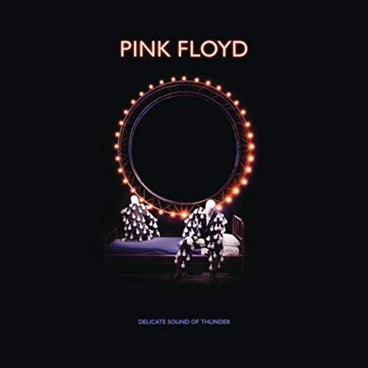 the album cover for Pink Floyd - Delicate Sound Of Thunder: Remastered [Deluxe 2CD/DVD/Blu-ray Box Set]