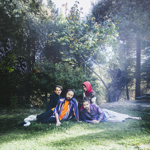 the album cover for Big Thief - U.f.o.f.