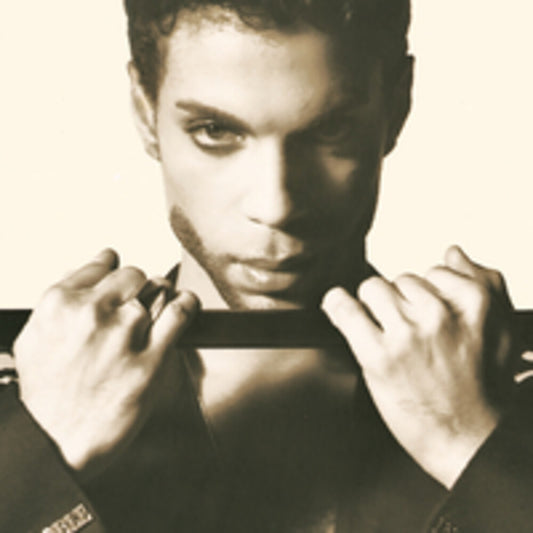 the album cover for Prince - The Hits 2