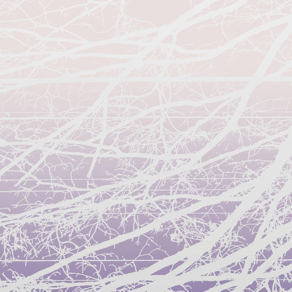 the album cover for Lea Bertucci - Metal Aether / Resonant Field [2LP]