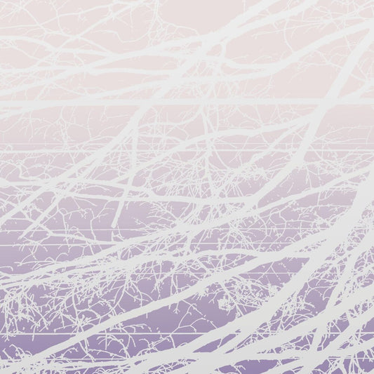 the album cover for Lea Bertucci - Metal Aether / Resonant Field [2LP]