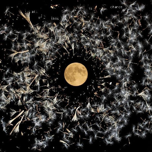 the album cover for Lisa O'Neill - All Of This Is Chance