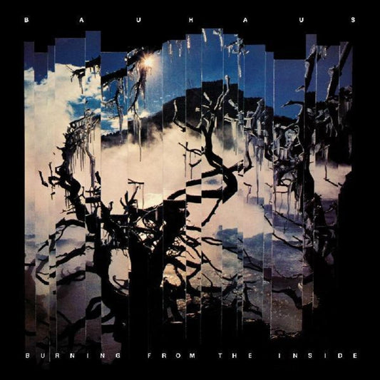 the album cover for Bauhaus - Burning From The Inside [Import]