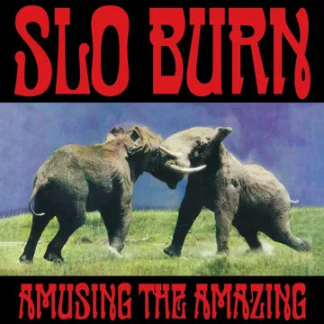Slo Burn - Amusing The Amazing BF25