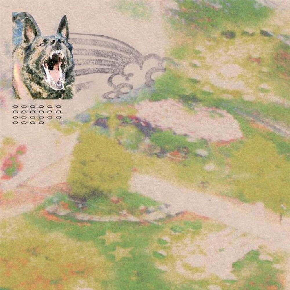 the album cover for feeble little horse - Girl with Fish