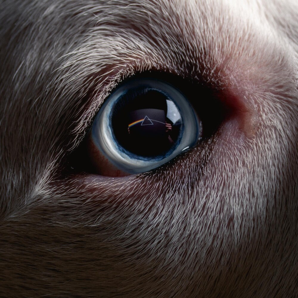 the album cover for Roger Waters - The Darkside Of The Moon Redux