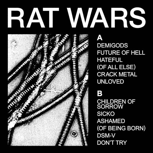 the album cover for HEALTH - RAT WARS [LP]