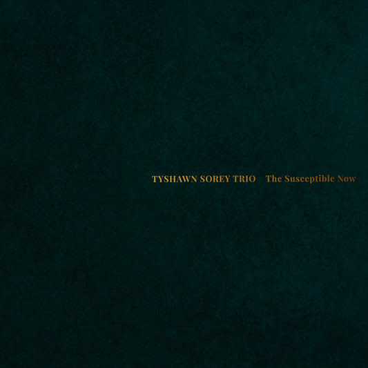 the album cover for Tyshawn Sorey Trio - Susceptible Now