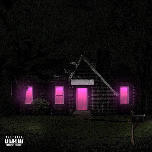the album cover for Future - Mixtape Pluto [LP]