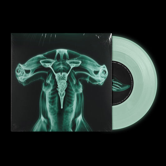 the album cover for Eartheater & Shygirl - Shark Brain / Dolphin [Colored Vinyl]