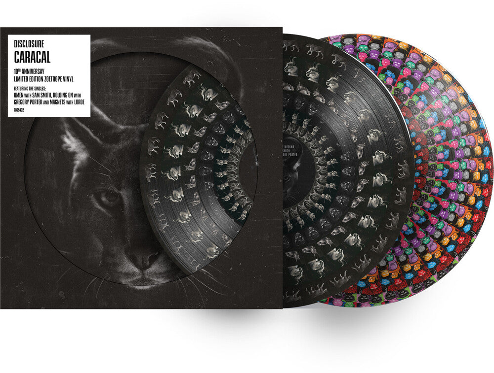 the album cover for Disclosure - Caracal - 10th Anniversary Edition [Zoetrope]