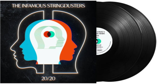 the album cover for Infamous Stringdusters - 20/20