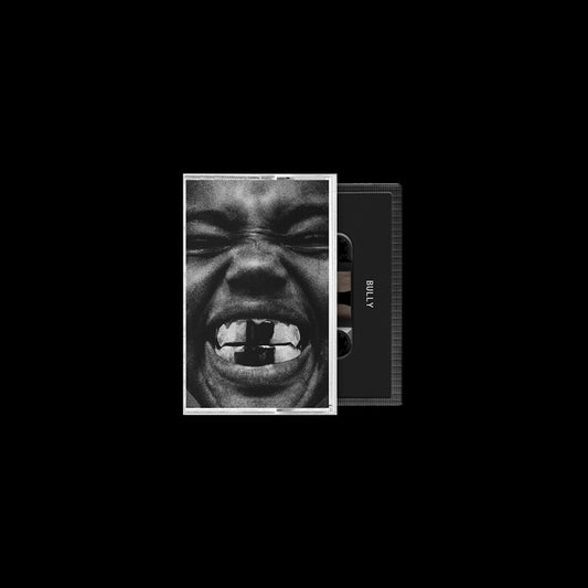 the album cover for Ye - Bully