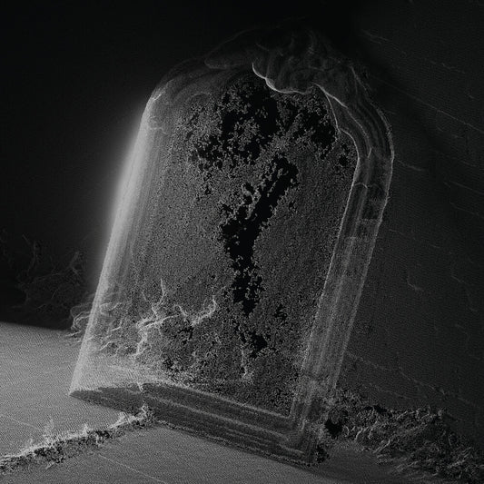 the album cover for Visible Cloaks - Paradessence [Silver]