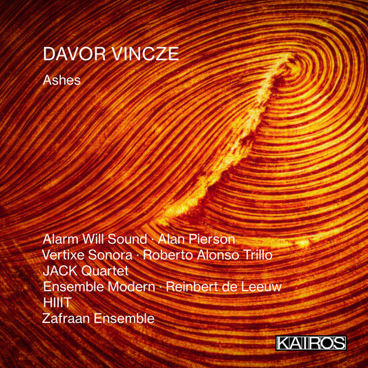 the album cover for Vincze, Davor - Ashes