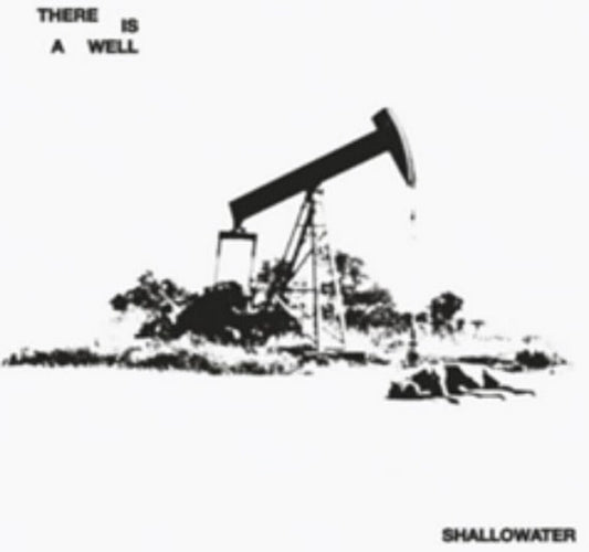 the album cover for Shallowater - There Is A Well [Colored Vinyl]