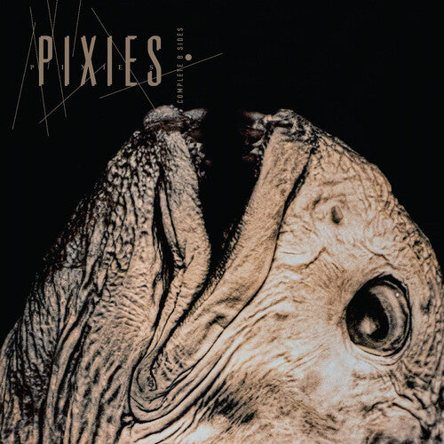 Pixies -  Complete B Sides (Transparent)