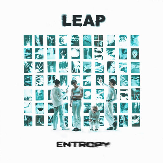 the album cover for Leap - Entropy