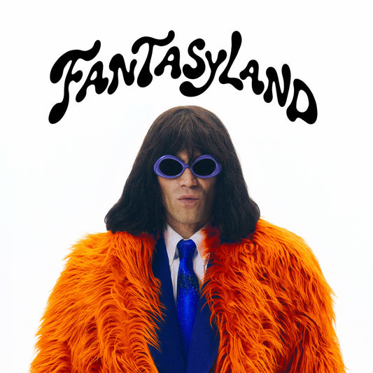 the album cover for Mr. Fantasy - Fantasyland