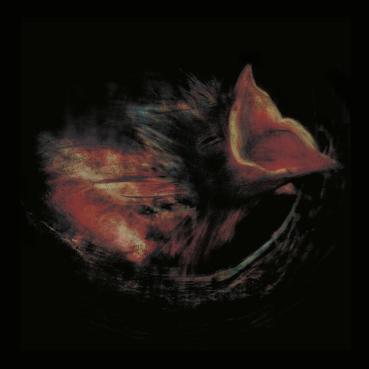 the album cover for Gurriers - Nobody's Coming To Save You [Black]