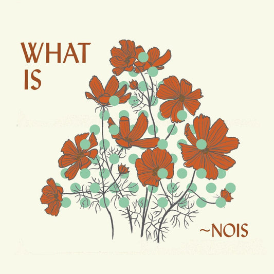 the album cover for Nois - What Is Nois