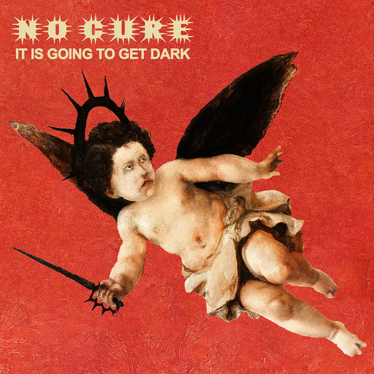 the album cover for No Cure - It Is Going To Get Dark [Transparent Red Vinyl]