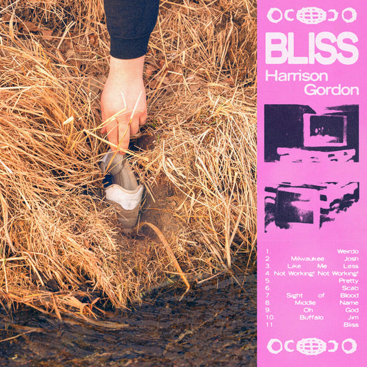 the album cover for Harrison Gordon - Bliss