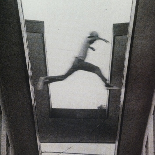the album cover for Mos Def - The Ecstatic