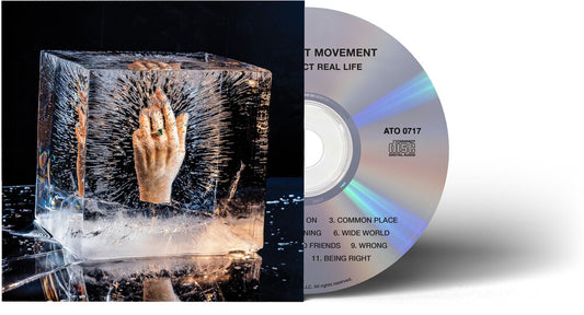 the album cover for Improvement Movement - Your Perfect Real Life