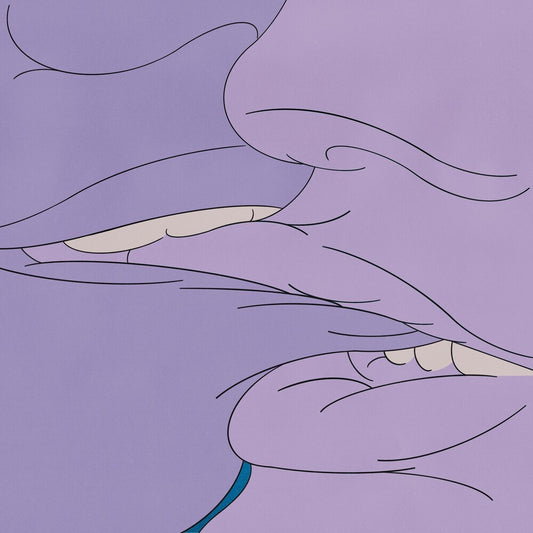 the album cover for Drug Church - Prude [Colored Vinyl] (Org) (Pnk) (Purp)
