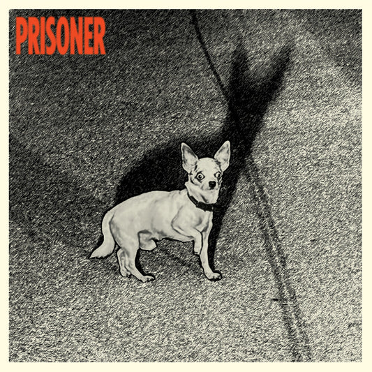 the album cover for Prisoner - Prisoner