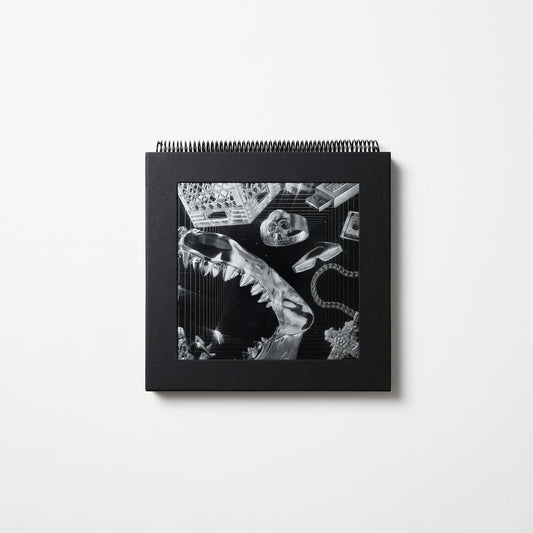 the album cover for Lex XX - Lex XX [180 Gram + Book]