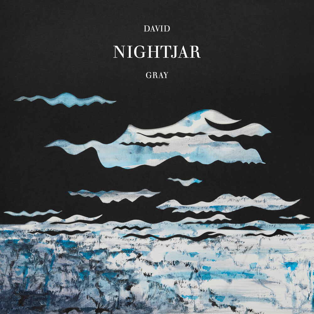 the album cover for David Gray - Nightjar
