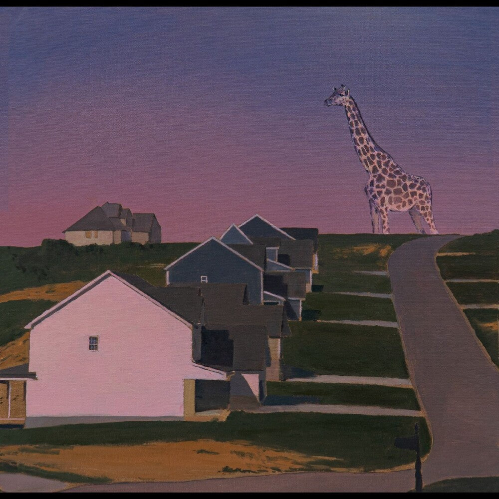 the album cover for Oso Oso - Exchange Of Information
