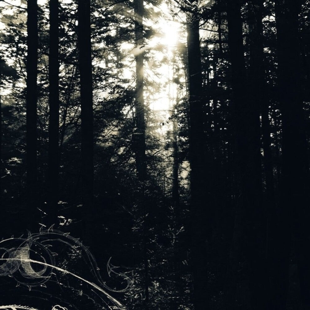 the album cover for Allison Graves - I Still Look For The Mountains