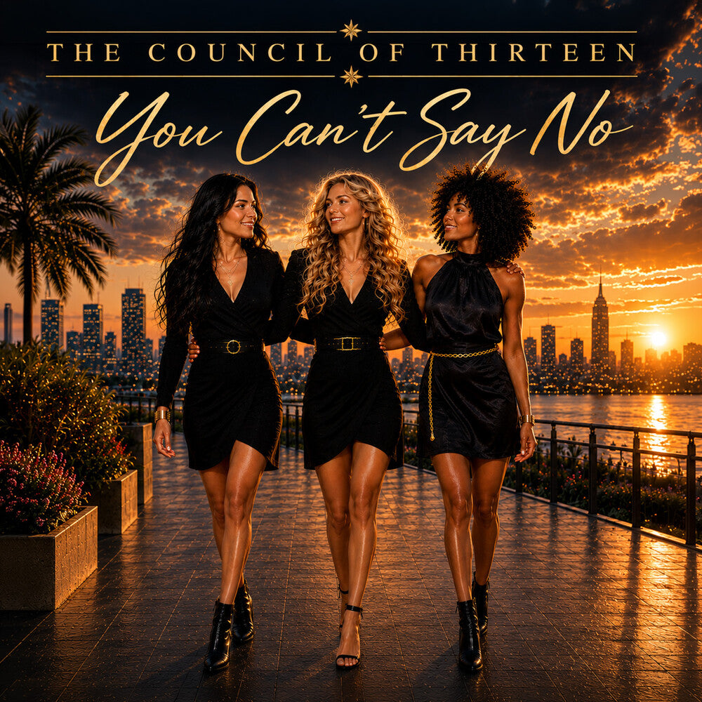 the album cover for Council Of Thirteen - You Can't Say No [Limited Edition]